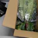 Artificial Ferns for Outdoors, 68" Fake Fern Artificial Plants Large, UV Resistant Faux Boston Fern Suitable for Porch Planters Home Indoors Entrance Patio Garden Porch (1 Stem) (Dark Green)