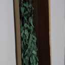 Dried Eucalyptus Greenery Stems, 20+ Pcs 16 inches Natural Long Lasting Eucalyptus Bundles for Vase Arrangements Home Decoration Photo Props Parties and Weddings, DIY Décor-Green 