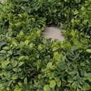 26" Artificial Boxwood Wreath for Front Door - Large Faux Aglaia Odorata Wreath, Fake Eucalyptus Leaves Plants for Wall Window Farmhouse Outdoor Decor - Spring, Summer, All Seasons (Green)