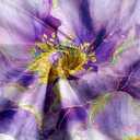 Purple Gold Marble Floral Shower Curtain, Abstract Texture Flower Fabric Shower Curtains, Modern Luxury Aesthetic Ink Art Decor Waterproof Polyester Bathroom Curtain with 12 Hooks, 72x72 Inch