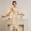 1920s Dresses for Women, Roaring 20s Great Gatsby Flapper Dresses Fringed Sequin Vintage Dress with Accessories Set XX