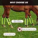 4PCS Fly Boots for Horses, Non-Slip Breathable Horse Fly Boots,Comfy Mesh Horse Fly Leggings Prevents Flies and Mosquitoes from Biting (Green)