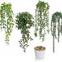 4 Pack Artificial Hanging Plants for Shelf,Fake Plants for room decor,String of Pearls,Mandala & Pea Pod Leaves in Pots for Indoor Outdoor Shelf Wall Decor - Realistic Faux Greenery(white flowerpot)