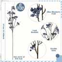Giegxin 3 Pcs 32 Inch Artificial Spring Blueberry Stems Faux Blueberry Picks Fake Village Blue Berry Branch Floral Arrangement Decor Long Blue Berry Stem for Spring Summer Vase DIY Craft