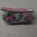 Anker Play Erasers And Pull-Back Cars