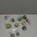 HappyHapi 12 Pcs Artificial Succulents Mini Fake Plants Unpotted Faux Succulent for Craft, Small Plastic Succulents Assortment in Flocked Green Floral Decor for Party, Cake, Garden & Outdoor