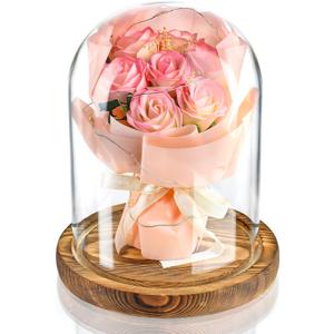 Glass Cloche Display Dome 6.9 x 5.7 inch Decorative Glass Display Bell Jar for Home Party Wedding Decor