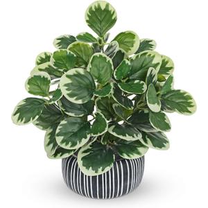 13" Artificial Plants Indoor Small Fake Plant in Ceramic Pot, Silk Plants for Home Decor Indoor, Faux Peperomia Potted Plant for Shelves, Desks, Home, Room, Office, Bedroom, Entryway, Tabletop Decor