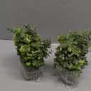 2 Pack Small Fake Plants Eucalyptus Potted Artificial Plants for Shelf Desk Home Bathroom Farmhouse Room Coffee Table Decor (Sage Green)