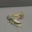 MakeMeChic Women's Sequin Sparkly Halter Crop Tops Fringe Open Back Split Summer Party Top (Green, S)