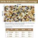 FANTIAN Small Pebbles for Plants, 5 LB Natural Smooth Colorful River Rocks Stones for Plant, Vase Fillers, Aquarium Gravel, Landscaping, DIY Craft Rocks and Outdoor Decorative Stones