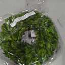 Boxwood Wreath 10 inch Preserved Nature Boxwood Wreath Home Decor Stay Fresh for Years Rustic Farmhouse Holiday Home Decor, Halloween Christmas Wreath