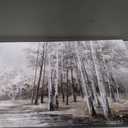 White Birch Tree Wall Art Grey Forest Painting Abstract Canvas Art Landscape Panoramic Picture Nature Artwork Framed for Living Room Bedroom Dinning Room Home Office Wall Decor 40"x20"
