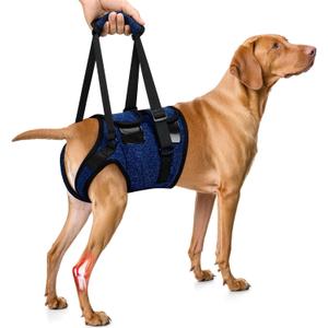SlowTon Dog Lift Harness - Adjustable Dog Sling for Medium Large Dogs, Hind Leg Support to Help Rehabilitate, Soft Padded Dog Support Harness for Elderly, Injured, Arthritic, Disabled Dogs(BL,S) (Small(Waist:18.5''-21.5''))