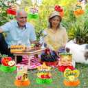 2 x Sukkot Decorations Honeycomb Centerpieces,12pcs Sukkah Decorations Happy Sukkot Table Decoration for Jewish Holiday Festival Supplies