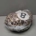 Dripykiaa Cheetah 8 Ball Throw Pillow, 14" Leopard Print 8 Ball Pillow Round Plush Decorative Cushion, Soft Trendy Throw Pillow for Bedroom & Living Room, Modern Aesthetic Home Decor for Women & Teens