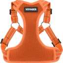 Best Pet Supplies Voyager Mesh Dog Breathable Harness Reflective Stitching, All Weather Adjustable for Walking Training, or Running - Heavy Duty & Durable, Harness (Orange), XS (XS (Chest: 13 - 16"))