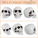 Skull Ornaments 6Pcs Plastic Halloween Skull Heads 4.33 Inch Ghost House Decoration Lightweight Halloween Party Props
