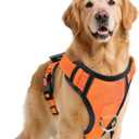 No Pull Dog Harness with 2 Leash Clips, Reflective Adjustable Soft Padded Vest with Handle, Breathable Oxford No Choke Pet Vest for Puppy, Orange,XS