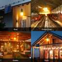 Solar Light Bulb Dusk to Dawn Outdoor Waterproof 3000K with Cable 9.8FT Portable Solar Powered Pendant Lingting for Replacement DIY, Chicken Coop, Shed 2 Pack