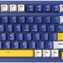 Qisan Wireless/Wired Mechanical Gaming Keyboard, Triple Mode 2.4G/USB-C/BT (98%) Wireless Mechanical Keyboard with US Layout | Brown Switch Rechargeable RGB Backlit Keyboards for Gaming, Blue & White