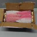 30 Pcs Mini Christmas Trees Artificial Christmas Tree Bottle Brush Trees with Wooden Base for Christmas Decor Christmas Party Home Table Craft Decorations (Pink+White)