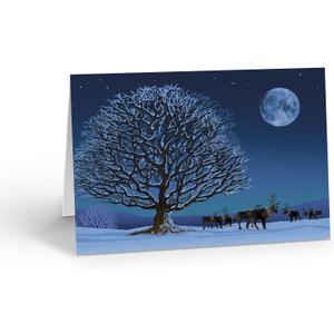 Stonehouse Collection Reindeer Under Moonlight Christmas Card - 18 Boxed Holiday Cards & Envelopes - Winter Night 