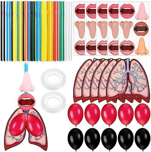 Libima 24 Sets Lung Model Respiratory System Model Toys Science Classroom Study Display Biologic Anatomy Doll and Human Body Puzzle Learning Homeschool Preschool Early Childhood Teaching Aid
