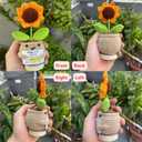 3 x Sunflower Crochet Doll - Thank You Gift Appreciation Gift For Teacher Coworker Leader Paraprofessional Coach Employee Men Women - Thank You For Being Important Part Of My Story Birthday Present