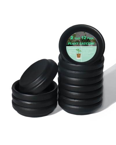 vensovo 2 Inch Black Terracotta Plant Saucer Pots Tray - 12 pcs Mini Planter Saucers for Indoor & Outdoor Plants, Small Clay Trays Perfect for 1 Inch 1.5Inch Flower Pot