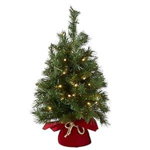 National Tree Company 24 in PreLit Majestic Fir Mini Artificial Christmas Tree, 35 Warm White LED Lights, 71 Tips, Red Cloth Base, Timer, Green