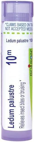 Boiron Ledum Palustre 10M for Insect Bites or Bruising - 80 Pellets, Pack of 6