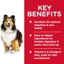 Hill's Science Diet Adult Sensitive Stomach & Sensitive Skin Tender Turkey & Rice Stew Canned Wet Dog Food, 12.5 oz., Pack of 12 (EXP 06/01/27)