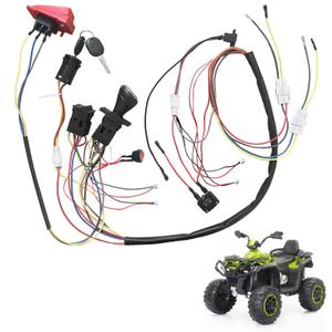 6V 12V 24V DIY Wire Harness Electric Conversion Kit for Kid's Ride On Toys Car,Set of Wire Harness Switch for Children Power Wheels Trax Upgrade Replacement Parts