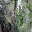 CQURE 60 Pack 420Ft Artificial Ivy Fake Vines,Ivy Garland Greenery Garland Fake Hanging Plants Vines Aesthetic Green Leaves for Bedroom Wedding Party Garden Wall Room Decor