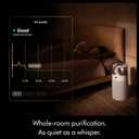 Dyson Hushjet Compact Purifier, Engineered for Powerful, Whisper-quiet, Whole-room Air Purification, Homes with Pets, Allergies, Fully-sealed filtration, 5-year no change filter (White/Silver)