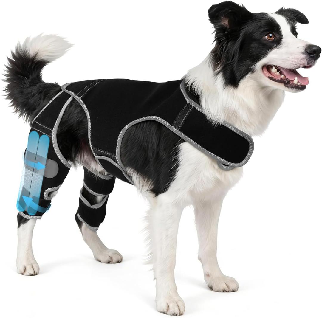 Dog Leg Braces for Torn ACL Hind Leg, Adjustable Dog Knee Brace with 4 Stabilizers, for Dogs with Torn ACL/CCL, Luxating Patella, Ligament Issues & Hip Dysplasia,  (Size M)