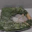 Christmas Norfolk Pine Wreath 16 Inch Christmas Kitchen Cabinet Wreaths Artificial Greenery Faux Cedar Wreaths for Xmas Decor Door Window Mantle Wall Outdoor Indoor Decorations