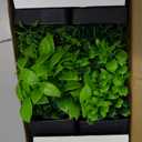 Der Rose 6 Pack Artificial Plants Small Potted Plants for Home, Office, Farm, Bathroom, Home Decor