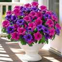 MARTINE MALL Artificial Flowers for Outdoors, 4 Bundles Realistic Fake Outdoor Flowers, UV Resistant Silk Petunia Flower for Outside Look Real Faux Flower Plant for Outdoor Porch Decor, Purple+Fuchsia