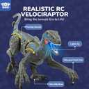 STEAM Life Remote Control Dinosaur Toys for Kids 3-5 4-7 8-12, Large Rechargeable Velociraptor RC Dino with Walking, Lights & Sounds, Realistic Jurassic Toy Birthday Gifts for Boys Girls