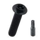 M6-1.0 x 16mm Button Torx Head Machine Screws (25 pcs), 18-8 (304) Stainless Steel Tamper Resistant License Plates Screws, Black Coated, Fayeploo (with Bit)