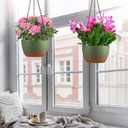 Set of 2 Hanging Planters for Indoor Outdoor Plants, 10 Inch Self-Watering Hanging Flower Pots with Drainage Hole & Removable Water-Storage Tray (Hooks)