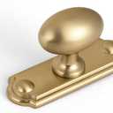 Goo-Ki Champagne Bronze Cabinet Knobs(Oval Shape) with Backplate(Square Shape) for Cupboard,Dresser,6 Packed