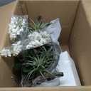 Nearly Natural Orchid & Succulent Garden with Driftwood & Decorative Vase