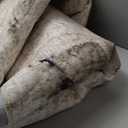 Area Rugs for Living Room: 5x7 Washable Neutral Abstract Rug for Bedroom Large Soft Modern Dining Room Rugs Indoor Floor Low Pile Carpet for Home Office Nursery - Brown Grey