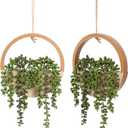 Floweroyal 2pcs Artificial Succulents Hanging Plants 12.2'' Fake String of Pearls in Pot with 8.3'' Lanyard for Indoor Outdoor Wall Decor, Wood Color