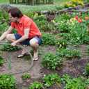 Rosy Earth Expandable Metal Garden Hose 75 FT - 304 Stainless Steel Water Hose 75 FT - Heavy Duty non-Kinking Flexible Garden Hose, no Bite