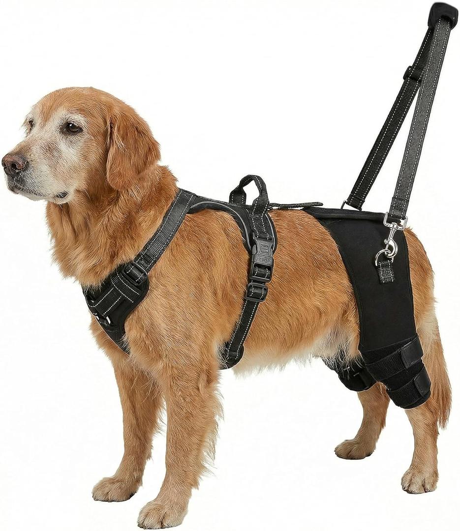 Dog Hip Support Brace-Adjustable Dog Leg Brace for Back Leg with Lift Strap for Hip Dysplasia Arthritis Pain Relief, Dog Hip Dysplasia Brace for Dogs(XXL)