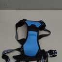 rabbitgoo Dog Harness No Pull with 2 Leash Clips, Adjustable Soft Padded, Reflective Oxford No Choke Pet Vest with Easy Control Handle for Large Dogs, Blue, L